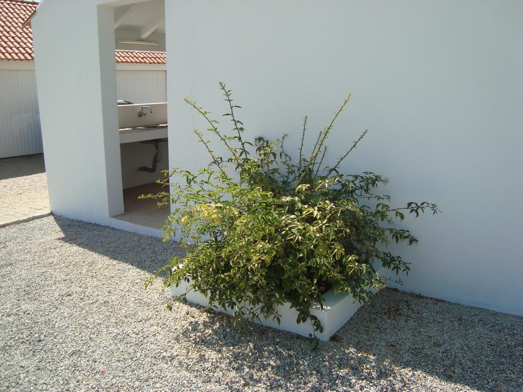 Monte Das Texugueiras - Adults Only Exterior foto